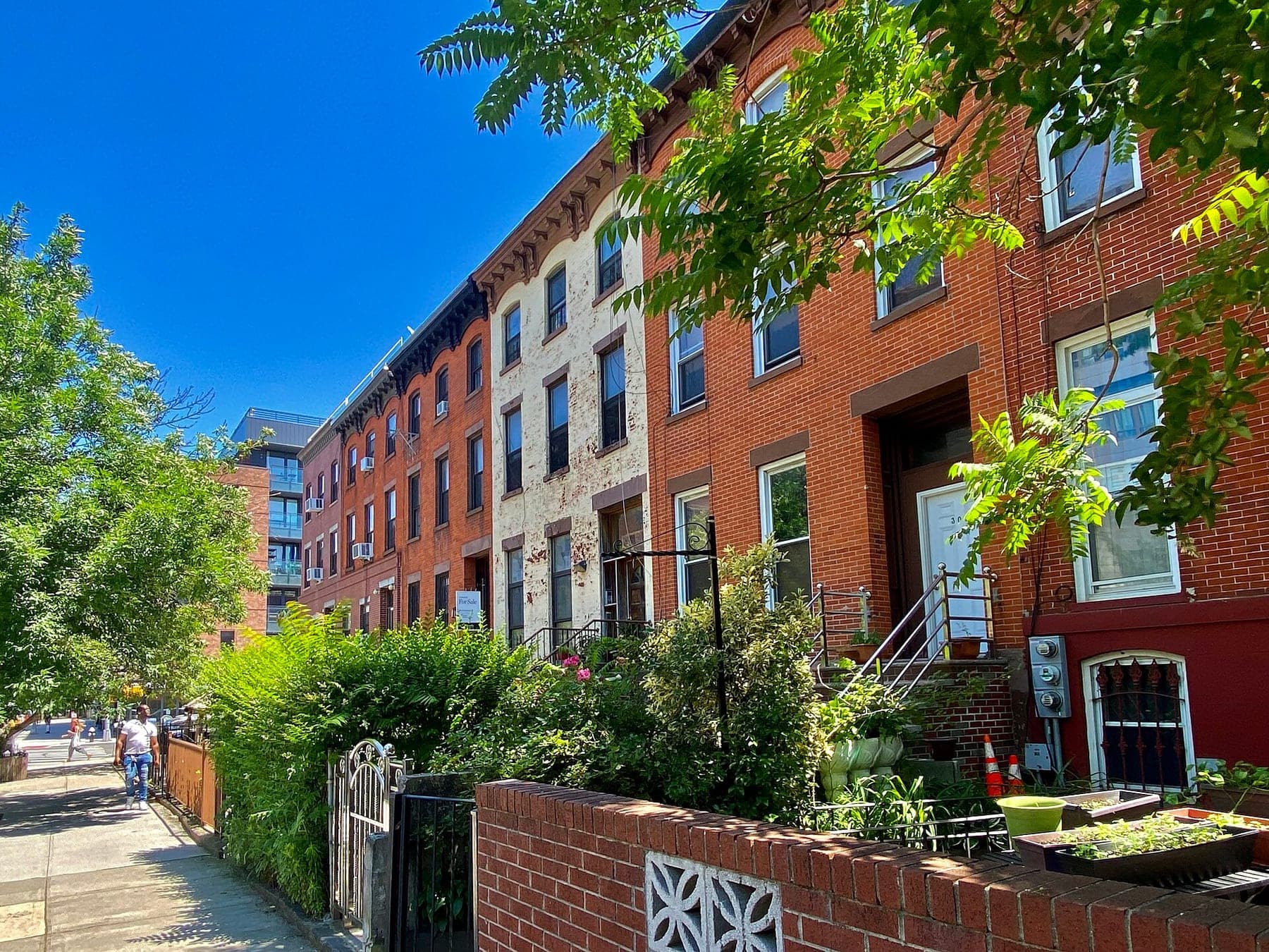 Row houses on Gates Avenue, Bed-Stuy, Brooklyn - 20220617