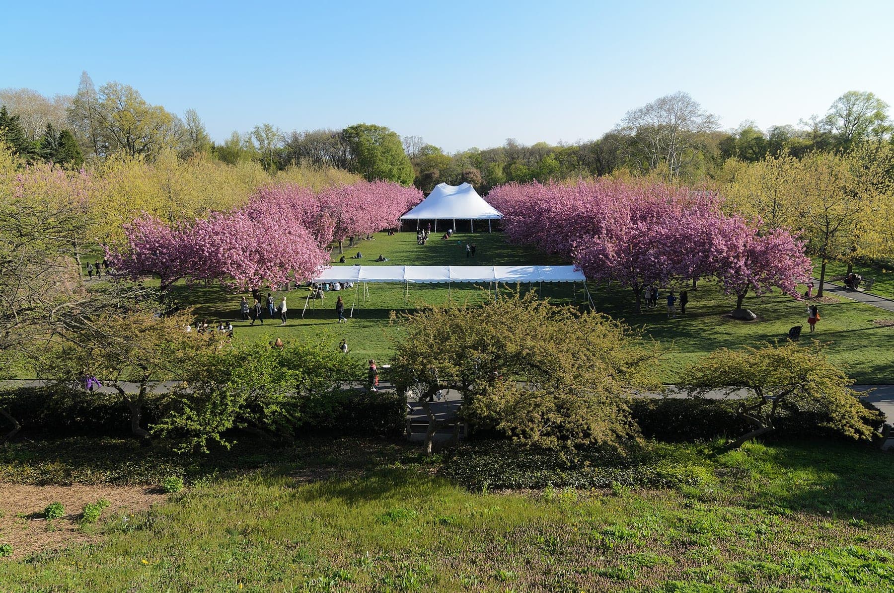 Brooklyn Botanic Garden New York May 2015 010