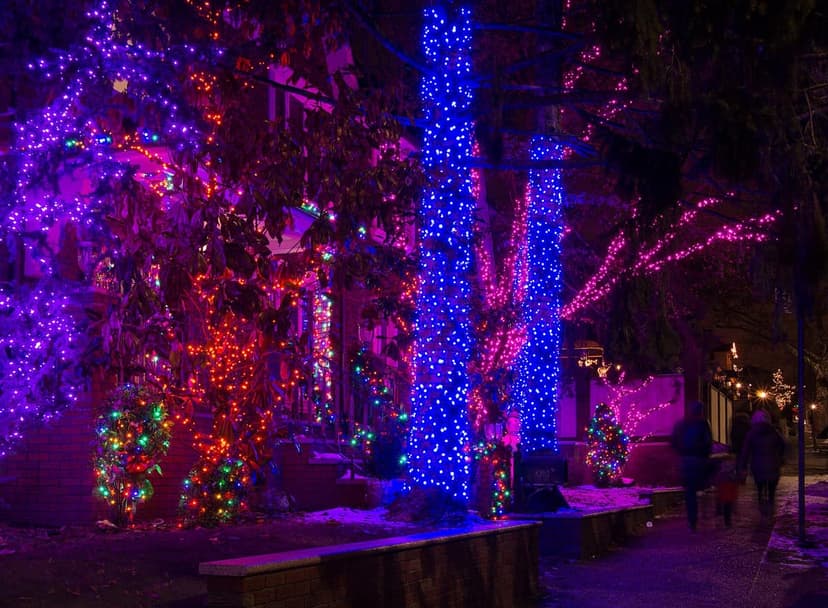 Elaborate Christmas lights decorate trees and houses in Dyker Heights, Brooklyn, at night, with people walking on a sidewalk.