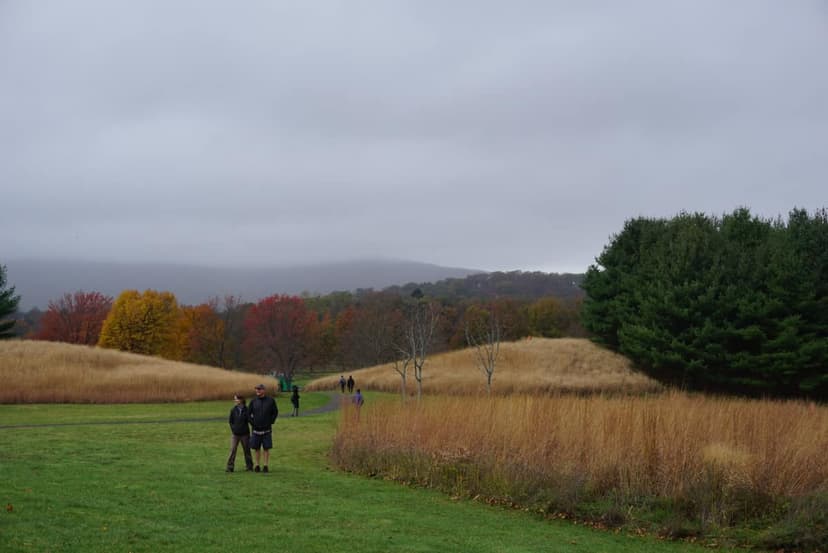 An autumn landscape at Storm King Art Center with rolling hills of golden grass, green lawns, and trees with red and yellow leaves under a