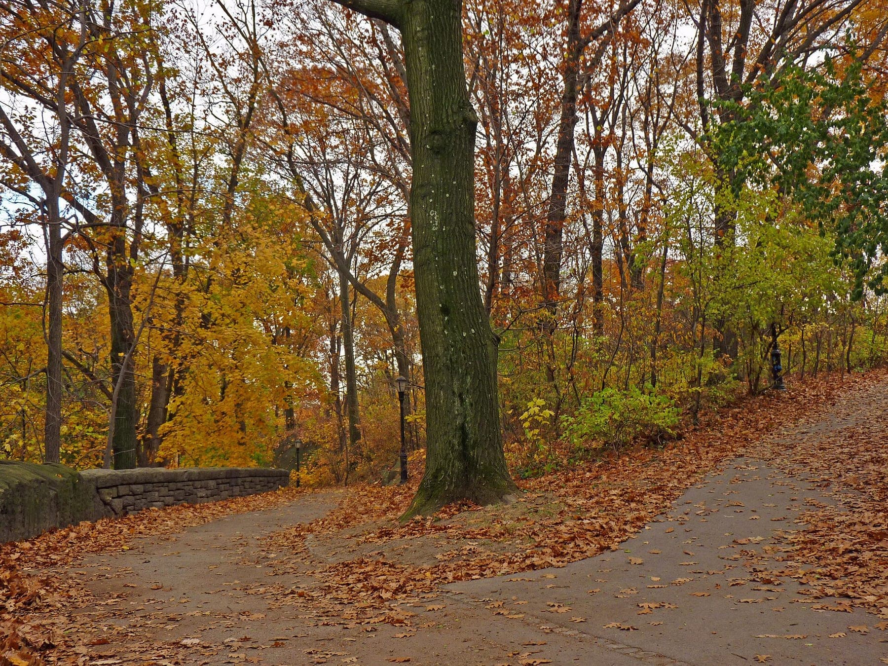 Fort Tryon Park- Fall 2013